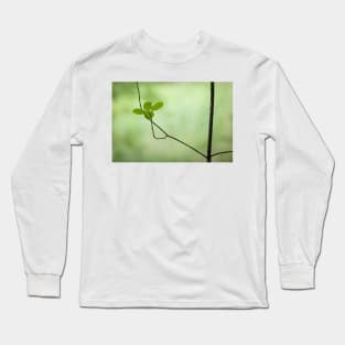 Small young thin tree growing new leaves Long Sleeve T-Shirt